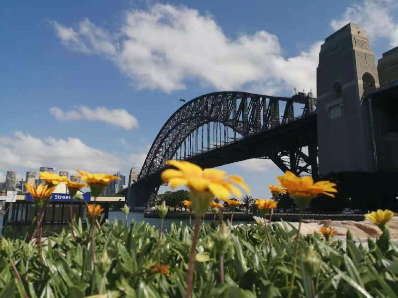 Featured image of post MacOS最常用的六组快捷方式